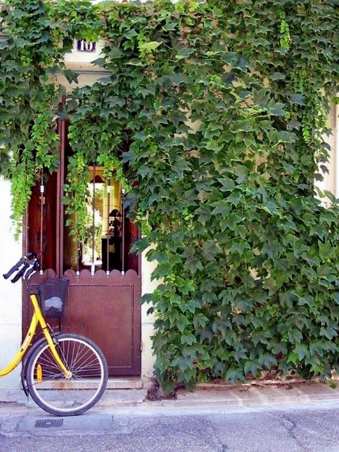 Chambre D'Hote Farniente Aigues-Mortes Esterno foto